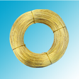 世界怎么了？黃銅圓線得多讀書(shū)多看報(bào)了